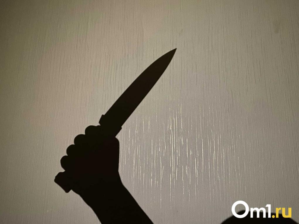 Мясник в «Доме со шпилем». Как омич устроил резню в самом центре города