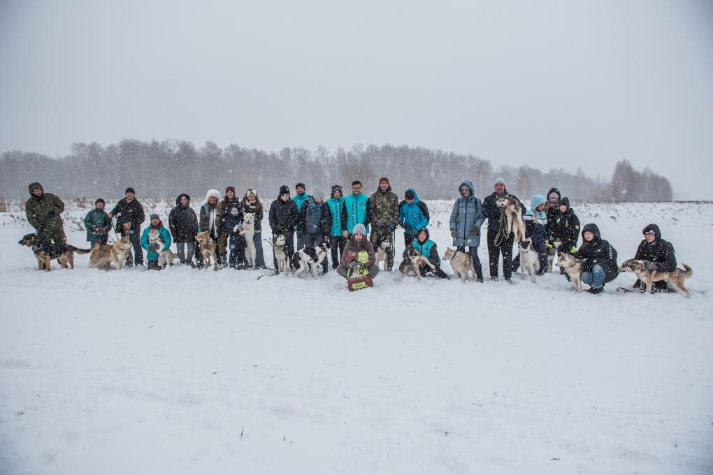 В Новосибирске «Новые люди» анонсировали программу помощи приютам для животных