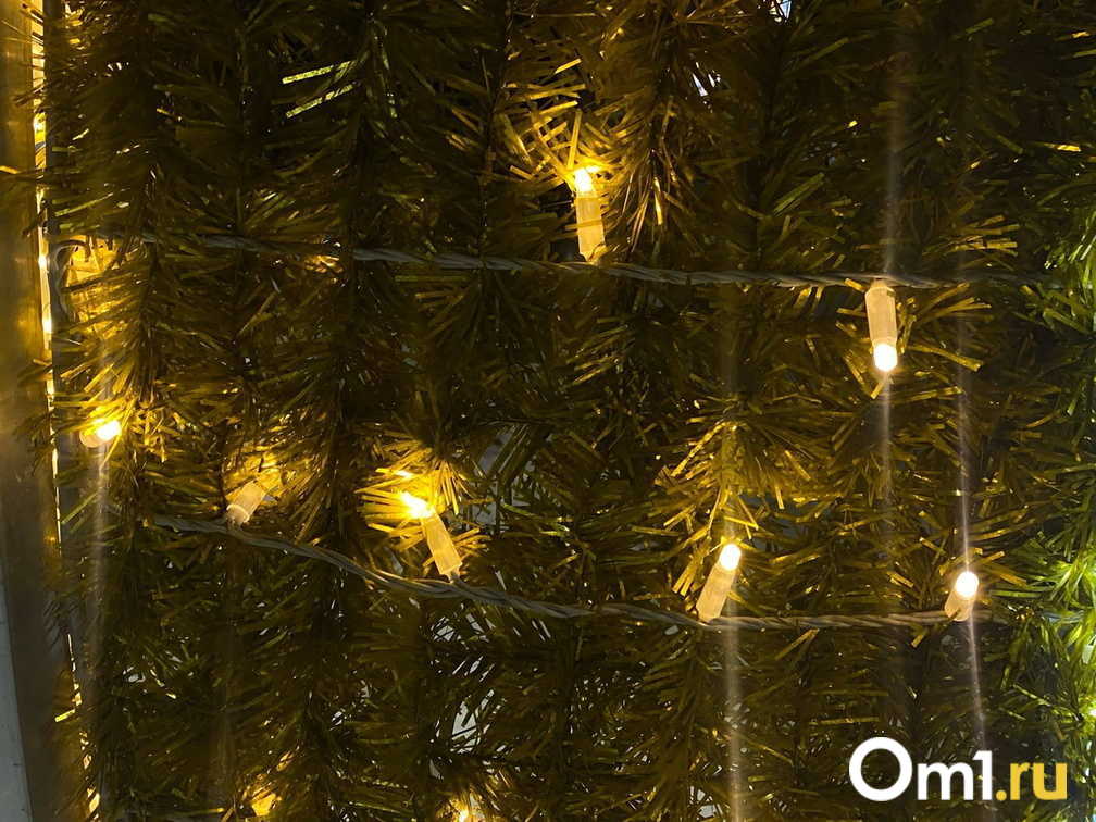 Новосибирцам грозит уголовный срок за украшение подъезда к Новому году