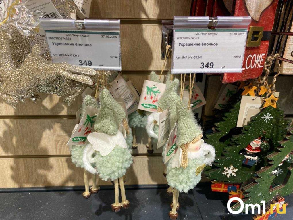 Какие игрушки на ёлку можно купить в Омске и сколько они стоят: обзор магазинов