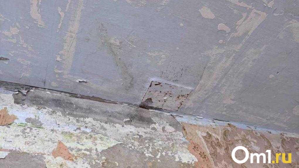 Смерть в перекрытиях хрущёвки. История омички, из стены которой полилась ртуть