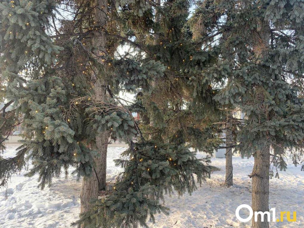 Праздник к нам приходит — показываем, какое новогоднее оформление уже появилось в Новосибирске