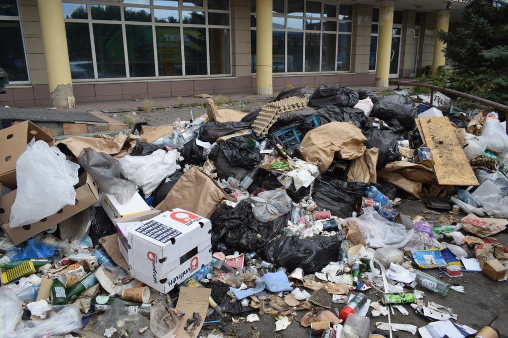 От популярного ресторана до незаконной свалки: зачем бизнес отправляет отходы в омские леса