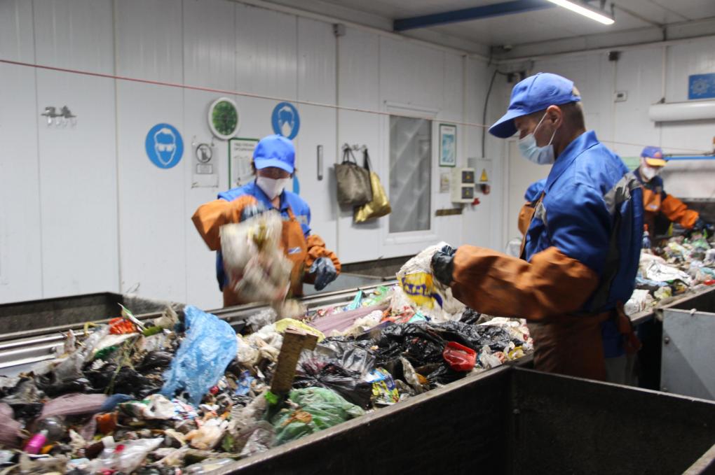 От популярного ресторана до незаконной свалки: зачем бизнес отправляет отходы в омские леса