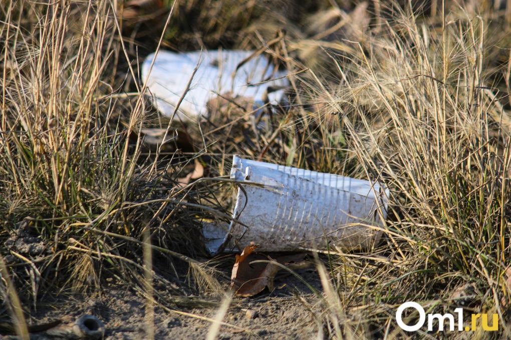 От популярного ресторана до незаконной свалки: зачем бизнес отправляет отходы в омские леса