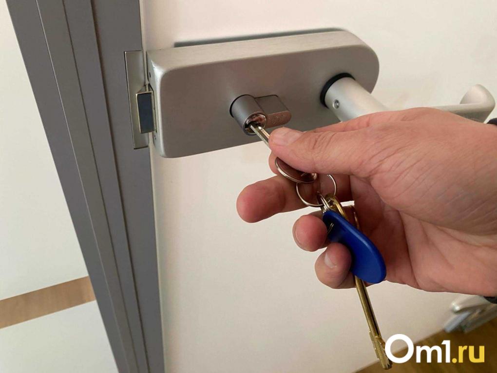 От мема к реальности: как «эффект Долиной» изменил рынок недвижимости Новосибирска