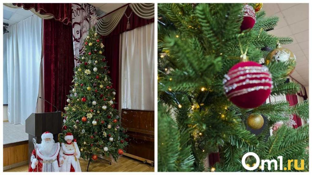 Битва ёлок в Новосибирске. Мы нашли самые красивые ёлки в городе — какая из них оказалась лучшей?