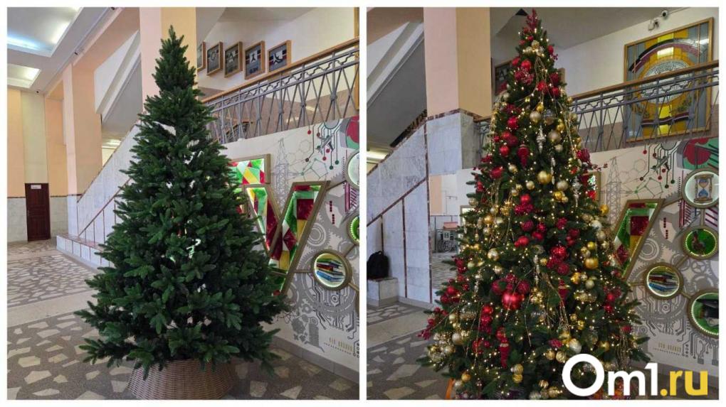 Битва ёлок в Новосибирске. Мы нашли самые красивые ёлки в городе — какая из них оказалась лучшей?