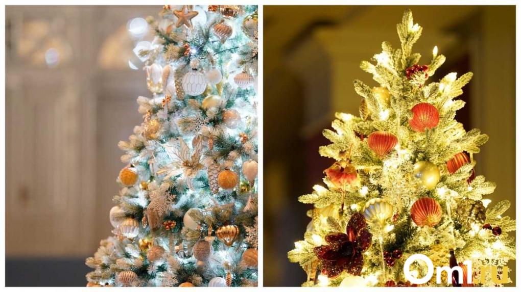 Битва ёлок в Новосибирске. Мы нашли самые красивые ёлки в городе — какая из них оказалась лучшей?