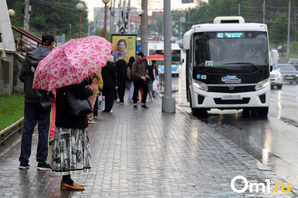 Парковки, «зайцы» и «Газели»: интервью с главой комитета Горсовета по транспорту