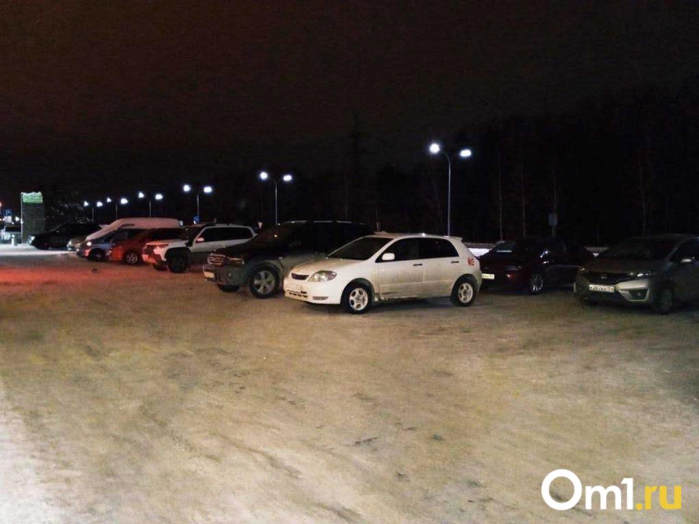 Парковки, «зайцы» и «Газели»: интервью с главой комитета Горсовета по транспорту