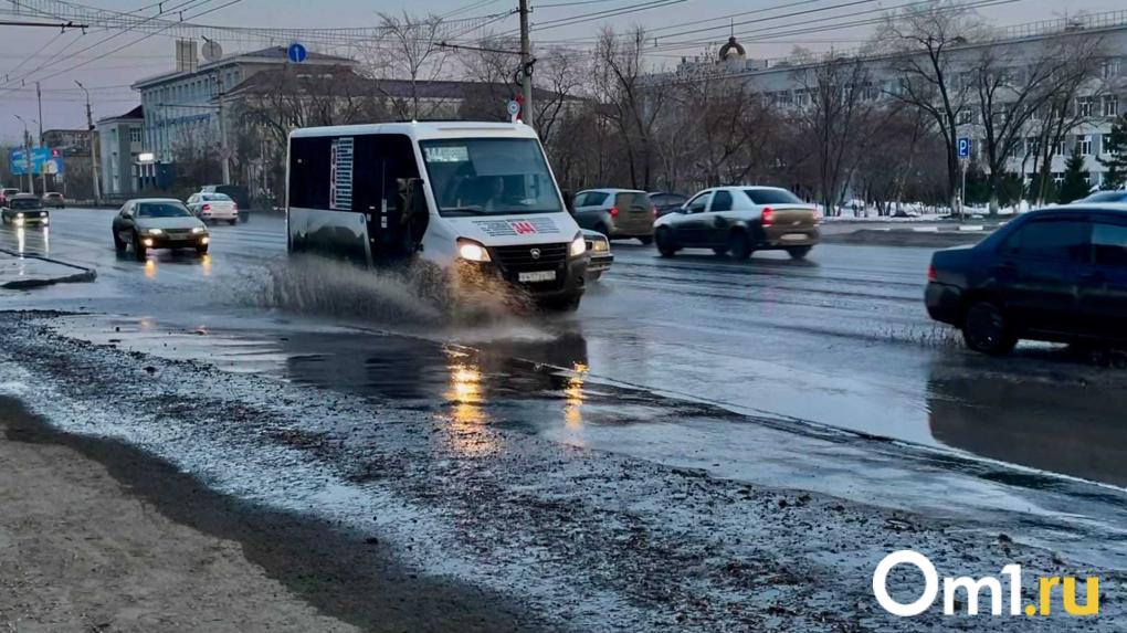 Парковки, «зайцы» и «Газели»: интервью с главой комитета Горсовета по транспорту