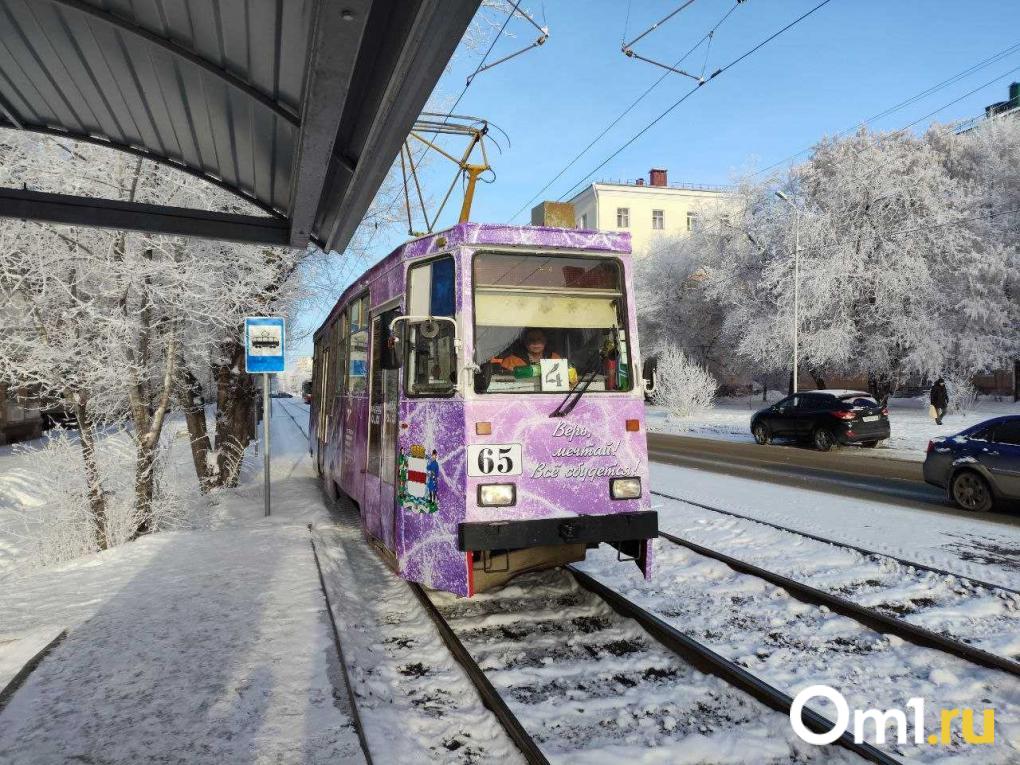 Снежный апокалипсис: как экстремальные морозы и снегопады парализуют Новосибирск