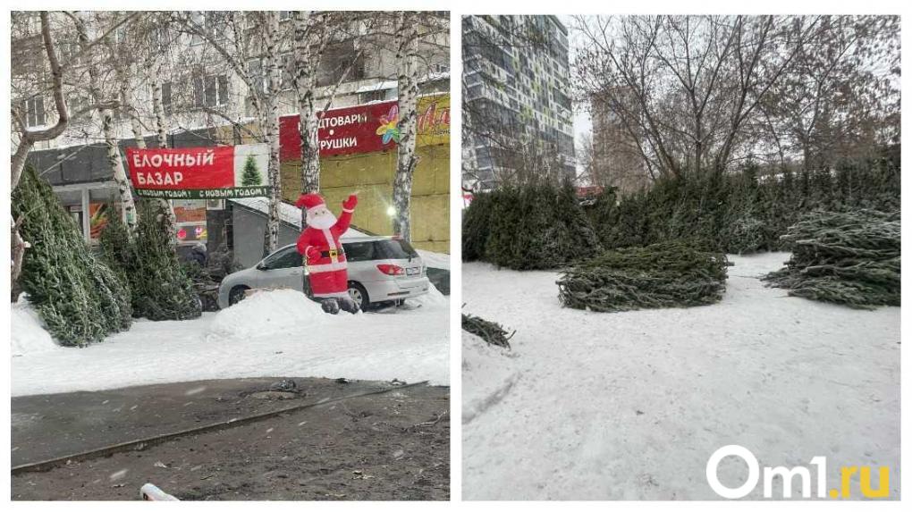 Ель за две тысячи, но покупателей нет: почему новосибирцы игнорируют ёлочные базары