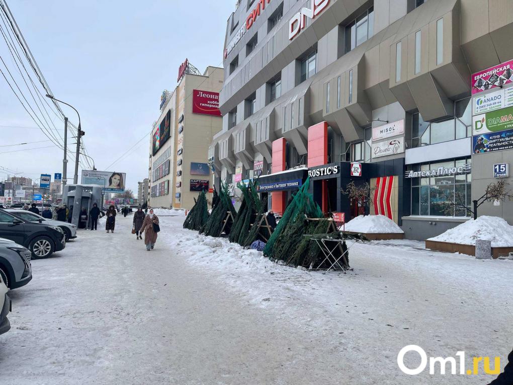 Ель за две тысячи, но покупателей нет: почему новосибирцы игнорируют ёлочные базары