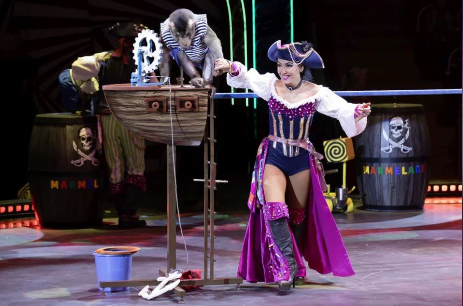 Волшебство под занавес года: куда отправиться за новогодним чудом с ребёнком в Новосибирске