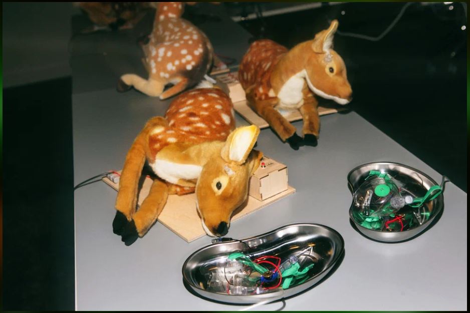 Волшебство под занавес года: куда отправиться за новогодним чудом с ребёнком в Новосибирске