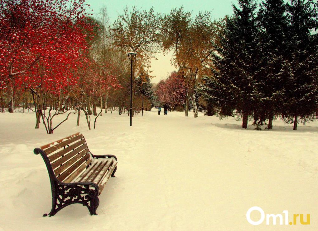 Где в Омске можно покататься на лыжах? Вот несколько идей
