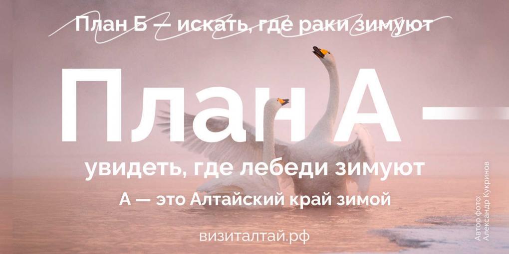 План А — зимой в Алтайский край