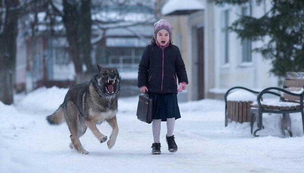 «Бросилась на девочку и порвала куртку»: бездомная собака оккупировала дорогу к школе в Новосибирске