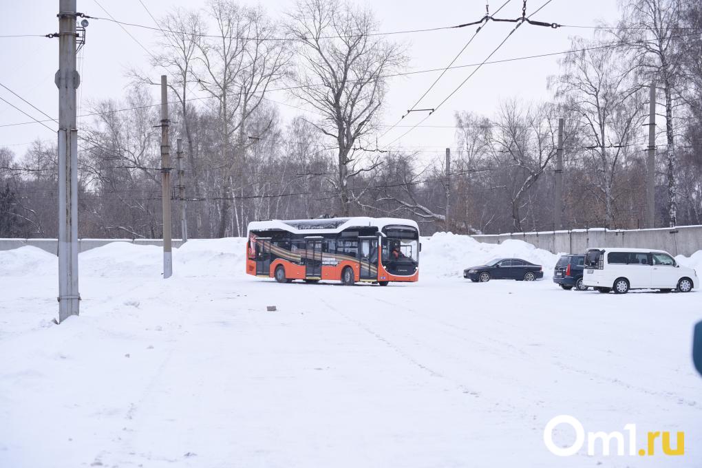 Как в Новосибирске закроют брешь после увольнения водителей-мигрантов?