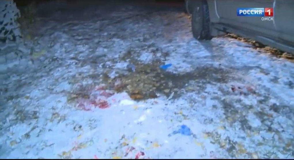 Следком опубликовал кадры с места убийства омского застройщика Виктора Берга