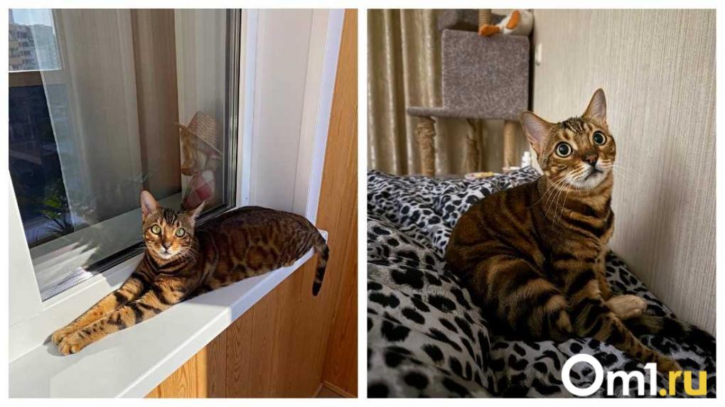 «Всё началось с Леонида Каневского»: следователь Татьяна Курмазова — о работе и громких делах Новосибирска