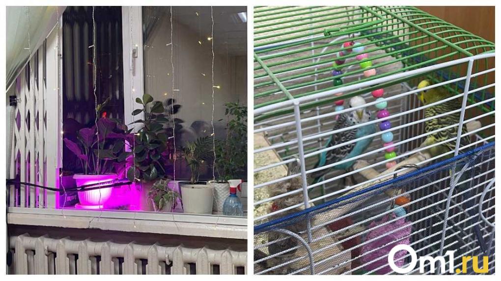 «Всё началось с Леонида Каневского»: следователь Татьяна Курмазова — о работе и громких делах Новосибирска