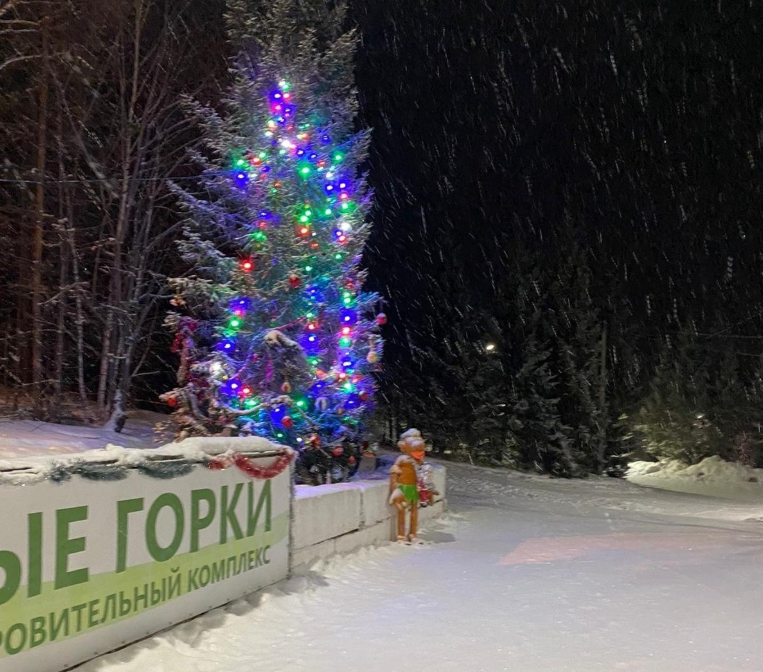 Горнолыжные комплексы и лыжные трассы Новосибирска — гид на зиму 2026 года