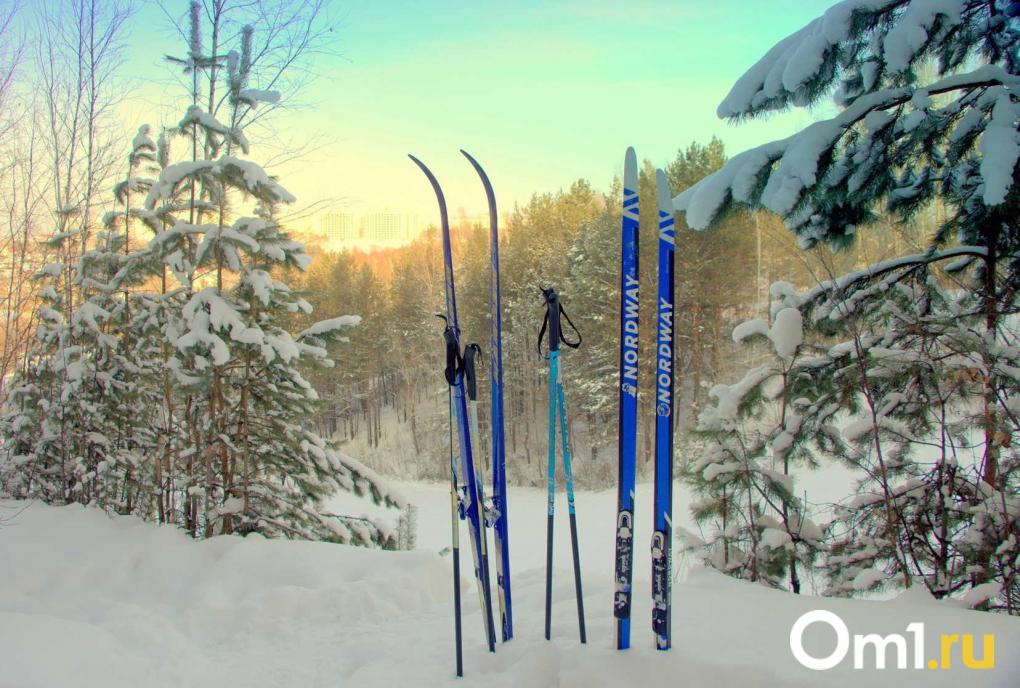 Горнолыжные комплексы и лыжные трассы Новосибирска — гид на зиму 2026 года