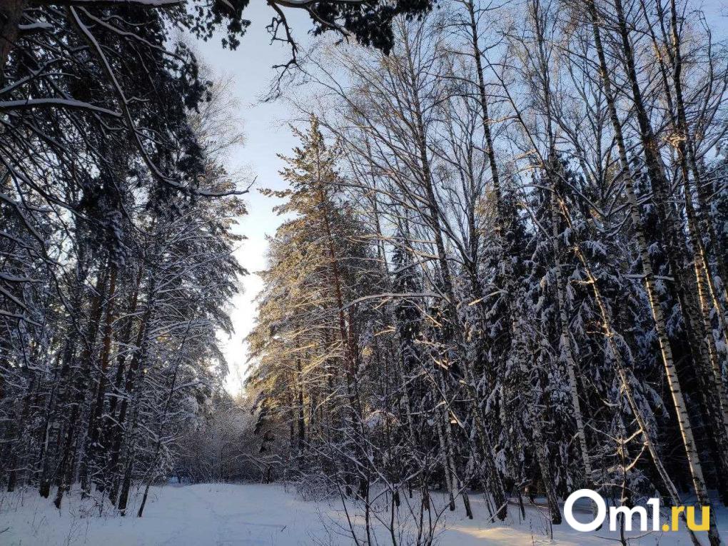 Горнолыжные комплексы и лыжные трассы Новосибирска — гид на зиму 2026 года