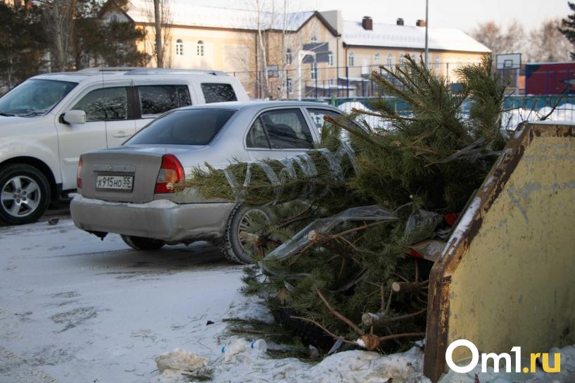 Изображение фоторепортажа