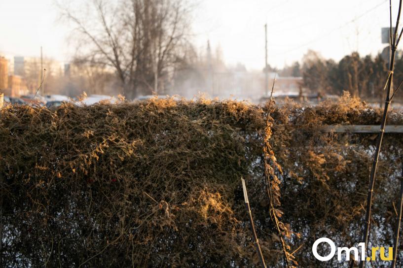 Изображение фоторепортажа