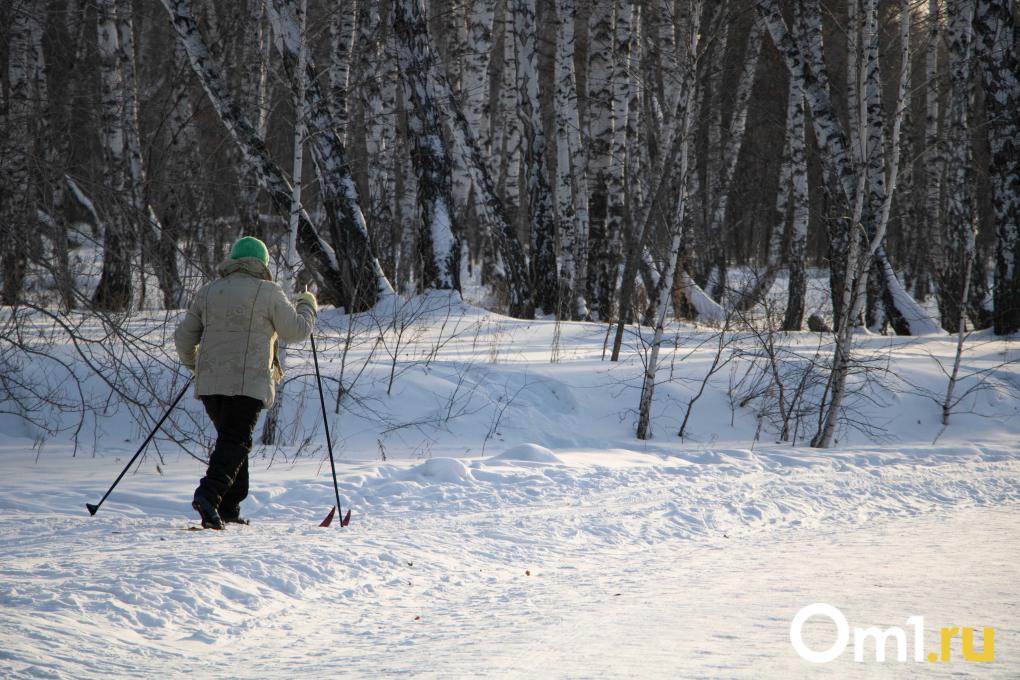 Мороз и солнце: как выглядят застывшие омские улицы в холода