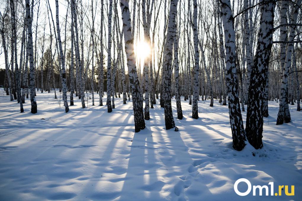 Мороз и солнце: как выглядят застывшие омские улицы в холода