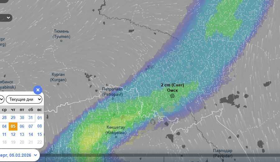 Омск к середине недели накроет мощный снегопад