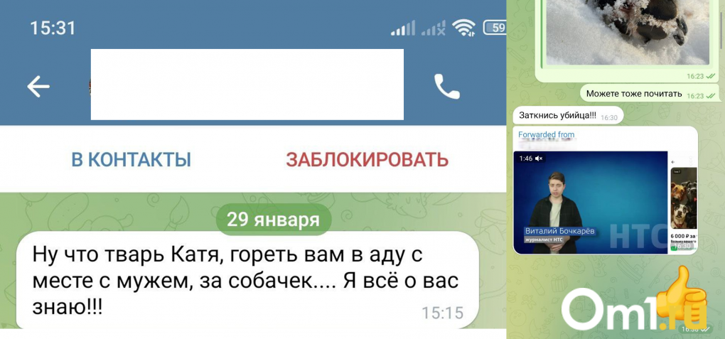 «Это нелюди!!»: в Новосибирске конфликт из-за собак в СНТ перерос в кибертравлю