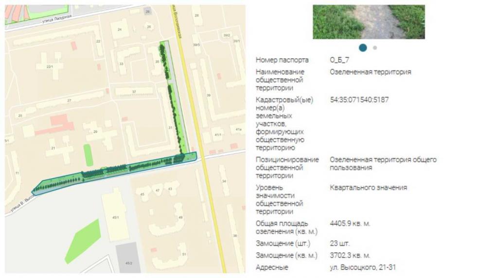 «Газону конец, деревья поломаны»: в Новосибирске начали сбрасывать грязный снег на озеленённые территории