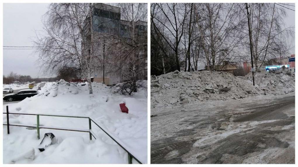 «Газону конец, деревья поломаны»: в Новосибирске начали сбрасывать грязный снег на озеленённые территории