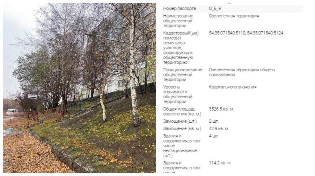 «Газону конец, деревья поломаны»: в Новосибирске начали сбрасывать грязный снег на озеленённые территории