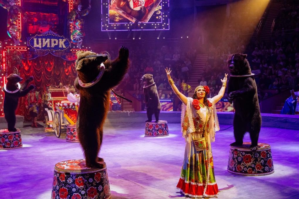25 лет магии и удивительных номеров: в Новосибирске состоится премьера циркового шоу Гии Эрадзе «Пять континентов»