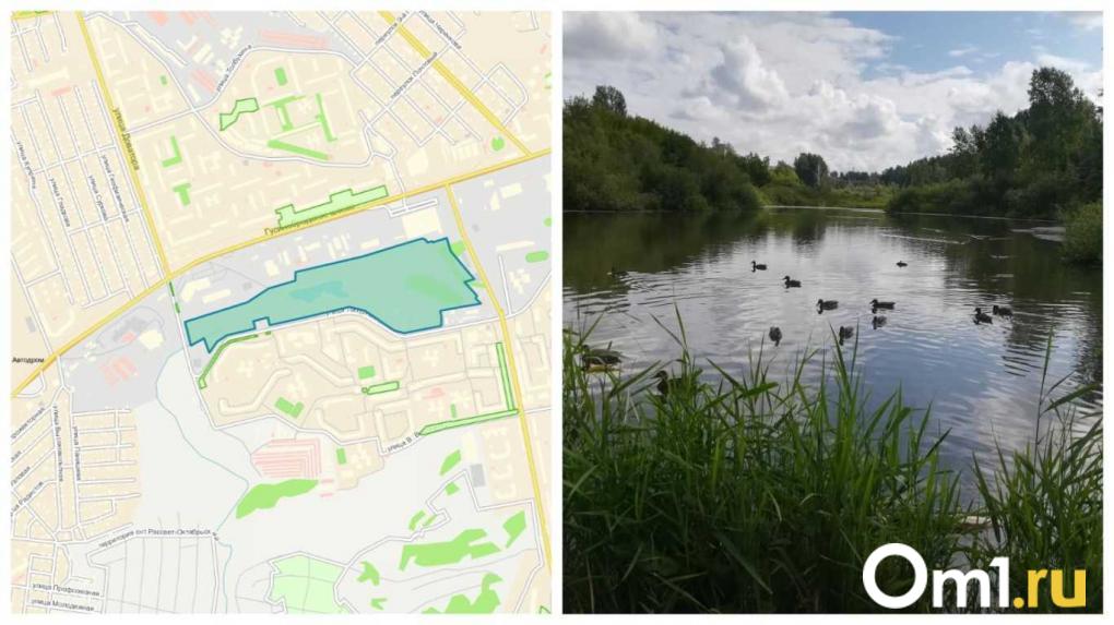 Незаконный снегоотвал в Новосибирске второй год подряд угрожает затопить зелёную зону на МЖК