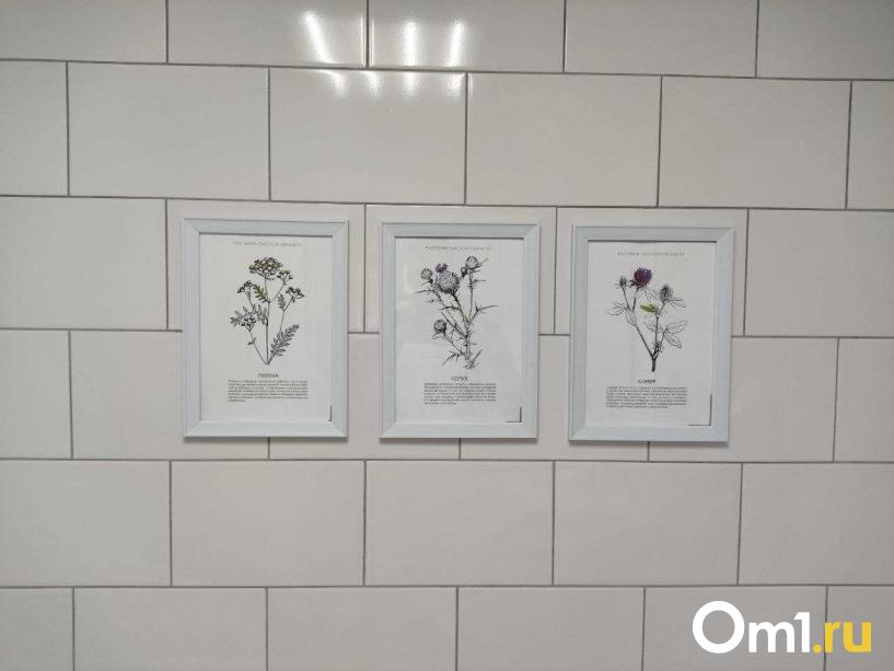 Изображение фоторепортажа