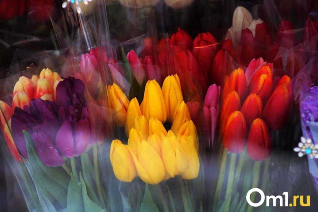 Куда сходить на 8 Марта в Омске? Афиша мероприятий на выходные