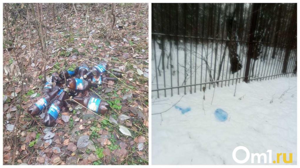 «Антисобачные законы — это инициатива местной власти»: жители Новосибирска потребовали отменить запрет на выгул собак в Дендропарке