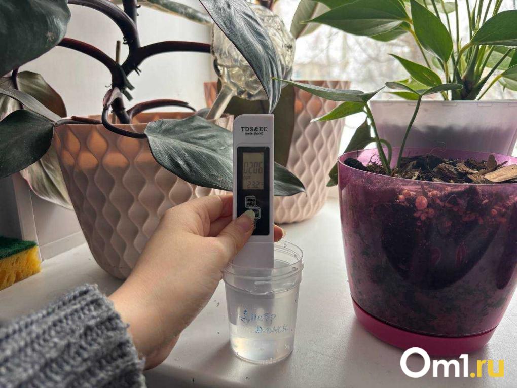 Можно ли отравиться снегом в Новосибирске? Журналисты провели эксперимент