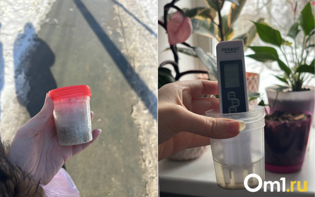 Можно ли отравиться снегом в Новосибирске? Журналисты провели эксперимент