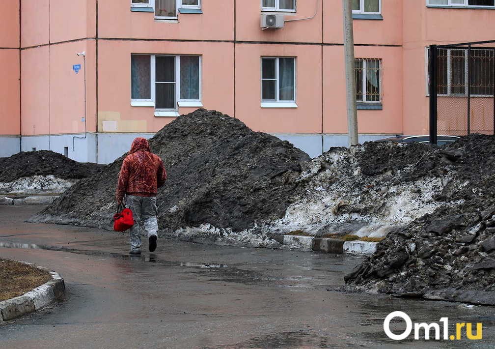 Паводок-2026 в Новосибирске — мэрия отчиталась о подготовке города к весеннему сезону. Ждать ли затопления улиц?