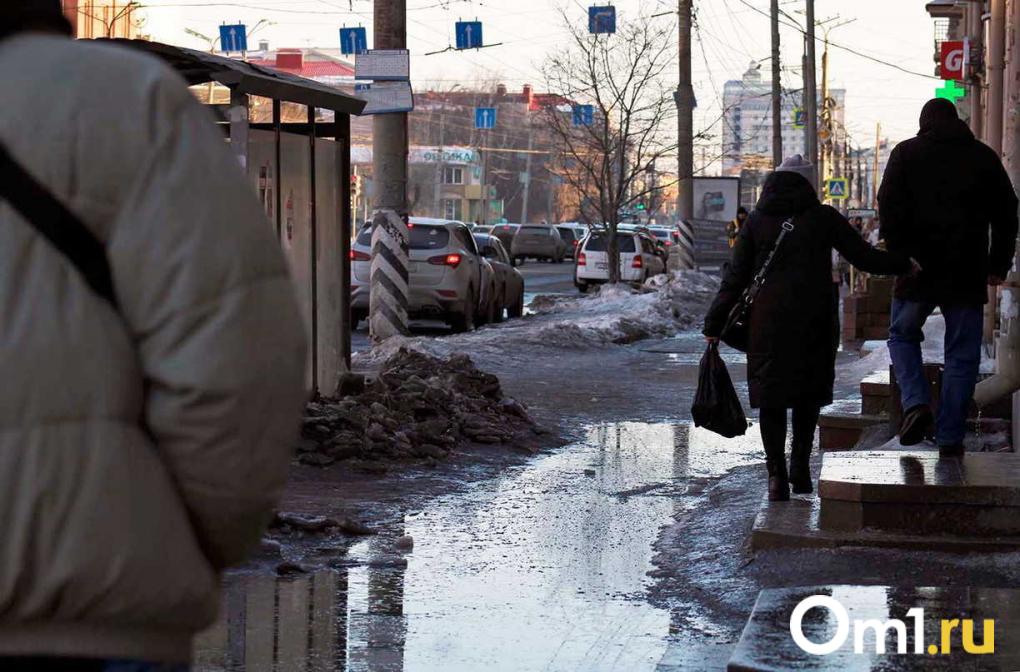 Паводок-2026 в Новосибирске — мэрия отчиталась о подготовке города к весеннему сезону. Ждать ли затопления улиц?