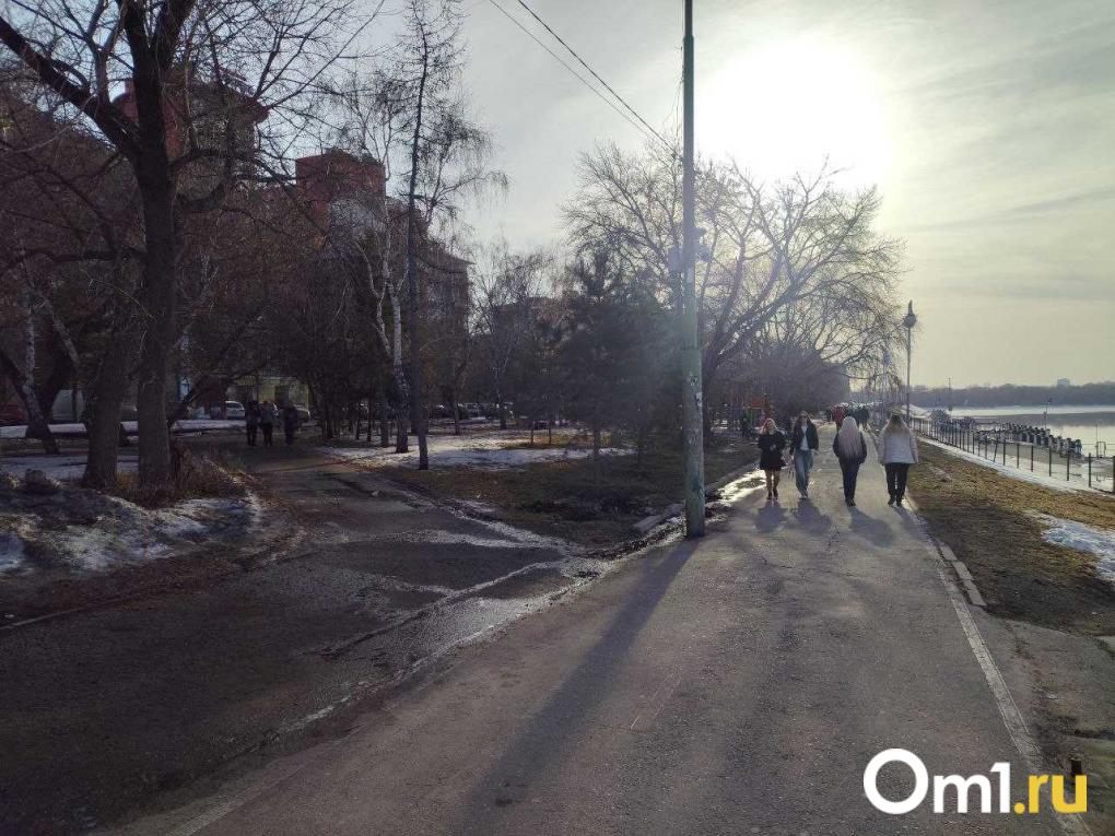 Лица Культурной столицы: какие места в Омске связаны с великим Михаилом Врубелем?